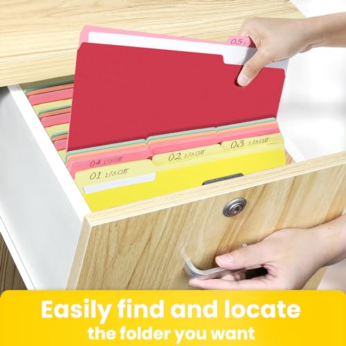 Eco-Friendly SUNEE File Folders Letter Size Assorted Colors, 100 Kit